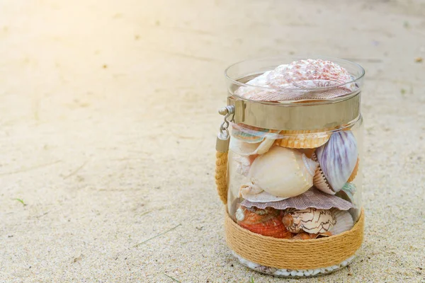 Разнообразие морских раковин в стеклянной банке на песчаном пляже с копировальным пространством. Концепция отдыха — стоковое фото
