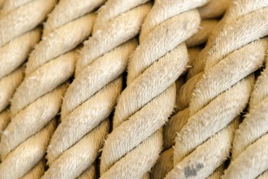 Vinç rulo makine üzerinde halat