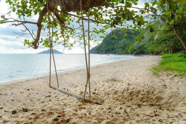 Rope wooden swing hanging on tree at topical beach with sunlight in Thailand — Stock Photo, Image