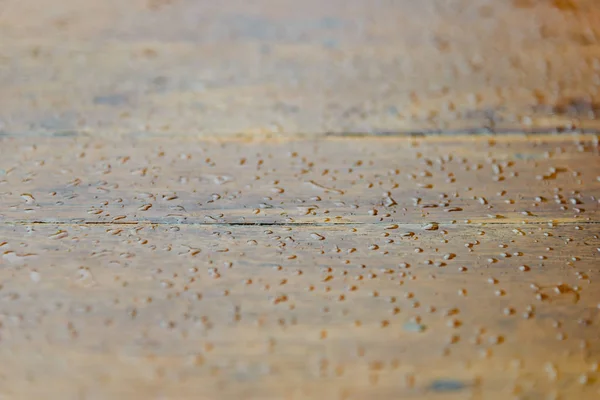 Water drops on wooden surface. droplets of raindrop. background — Stock Photo, Image