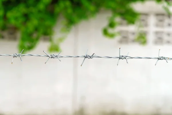 Alambres de púas para seguridad — Foto de Stock