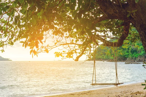 Rope wooden swing hanging on tree at topical beach with sunlight in Thailand — Stock Photo, Image