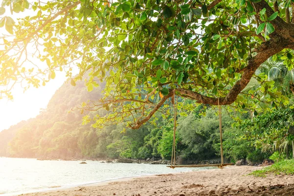 Rope wooden swing hanging on tree at topical beach with sunlight in Thailand — Stock Photo, Image