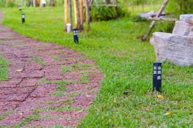 Garden'da açık ışıklı taş yol - Walkway s eğrisi
