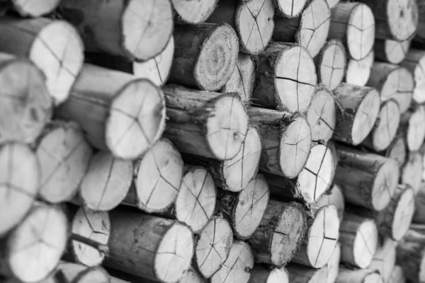 Dřevěné dřevo připravit na krb, barbecue-černá a bílá barva — Stock fotografie