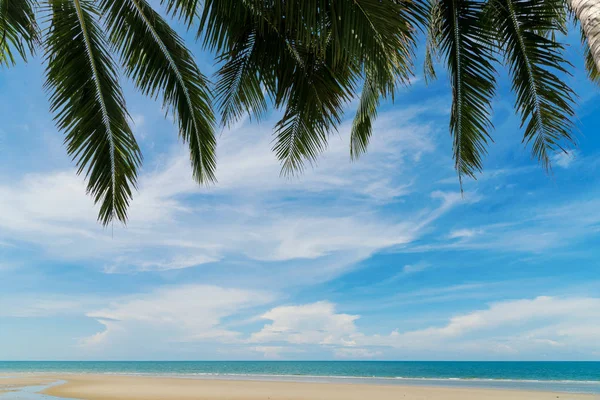 タイのヤシの木と美しいビーチと熱帯の海。夏のリラックスアウトドアコンセプト. — ストック写真