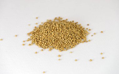 Beyaz tuval arka planında kişniş kuru tohumları