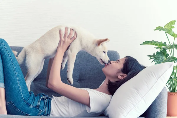 Hermosa Mujer Asiática Joven Acostada Sofá Jugando Con Cachorro Blanco — Foto de Stock