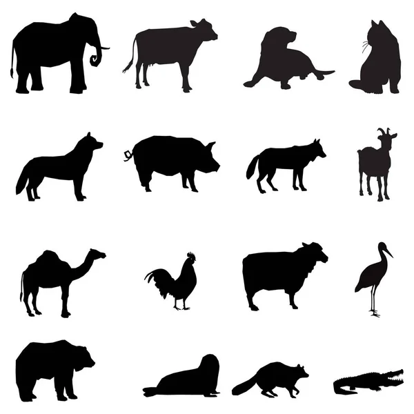 Σκιαγραφίες Ζώων Σύνολο Ζώων — Διανυσματικό Αρχείο