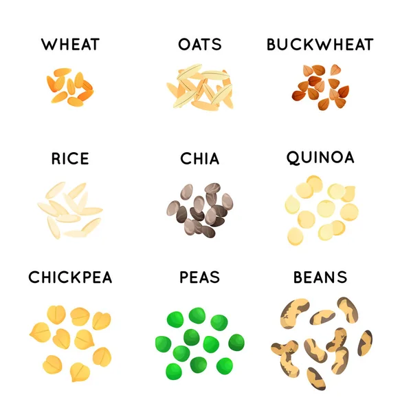 植物种子孤立的图标 谷物插图 燕麦和大米 荞麦和豌豆 和鹰嘴豆 — 图库矢量图片