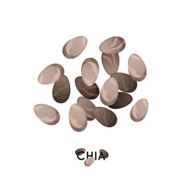 Bir avuç chia tohum. Tarımsal kültür chia tohum simgesi. Hububat chia illüstrasyon.
