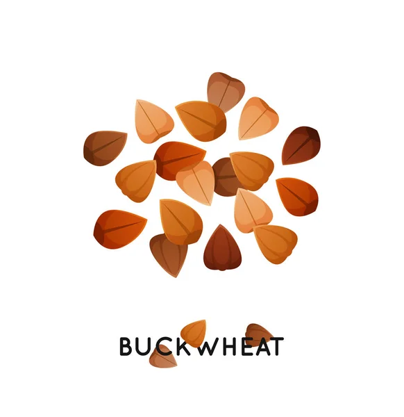 Agro Cultuur Boekweit Zaden Icoon Granen Boekweit Illustratie — Stockvector