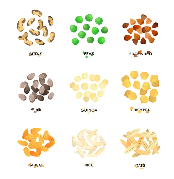 Sementi di agrumi. Illustrazione dei cereali . — Vettoriale Stock