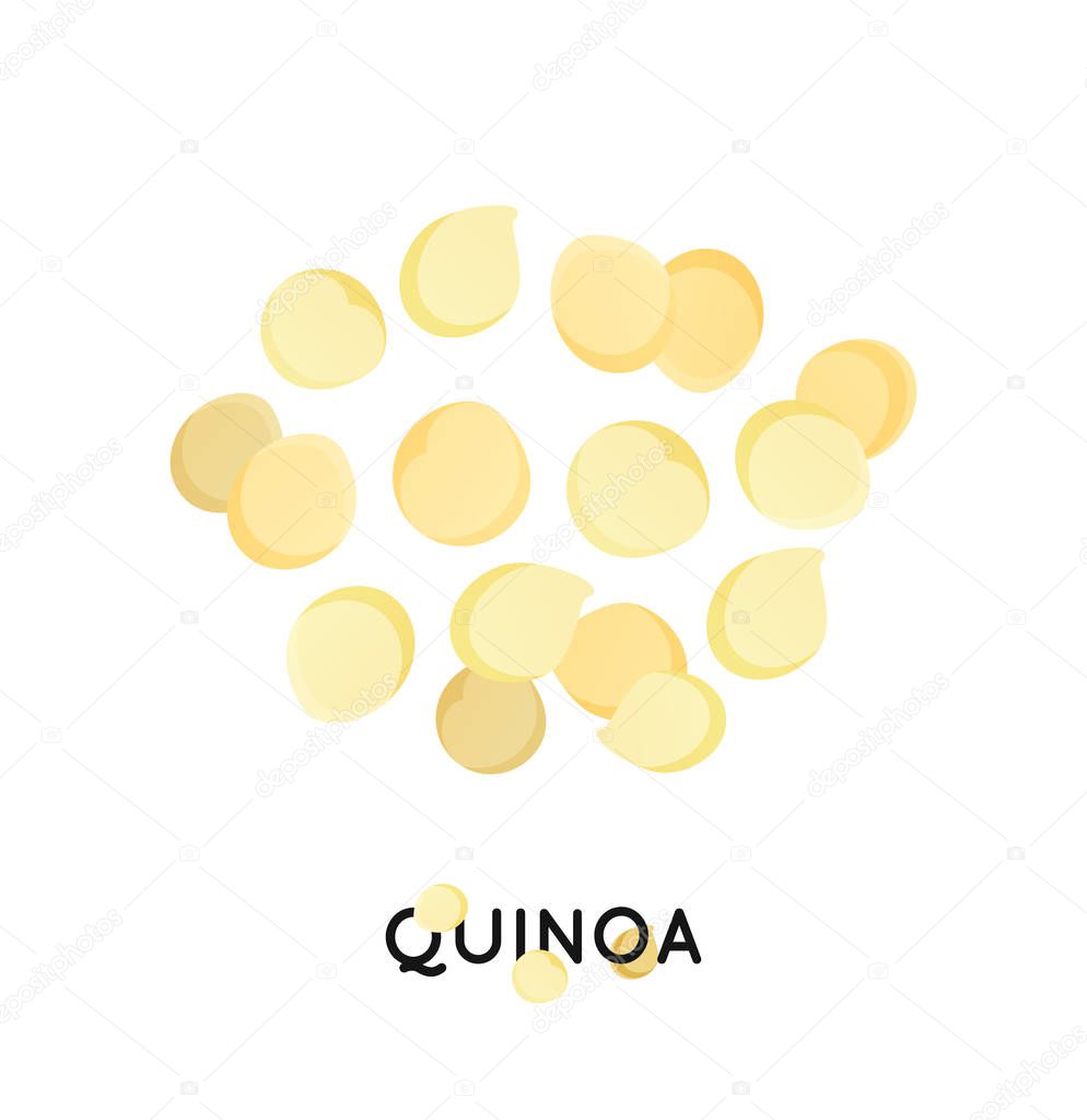 A handful of quinoa seed. Cereals quinoa illustration.