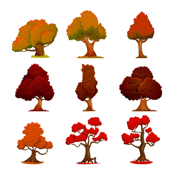Φθινοπωρινό δέντρο κινούμενα σχέδια στυλ. Στυλιζαρισμένη δέντρα σε μοντέρνο στυλ. Φύση και οικολογία, υπαίθρια καλλιέργεια σημάδι. Φυλλοβόλα δέντρα. — Διανυσματικό Αρχείο