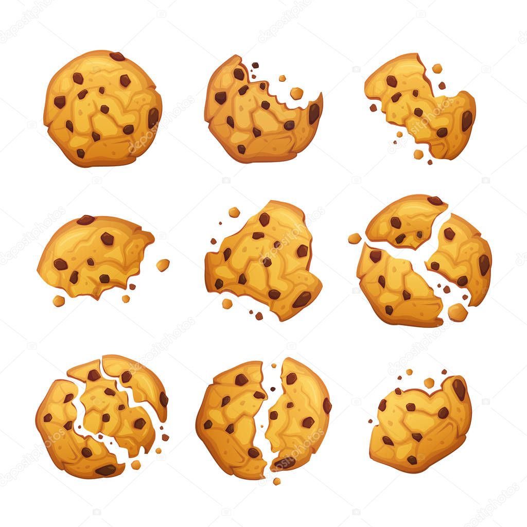Set of bitten and broken cookies. Isolated biscuits on white background. Vector oatmeal cookie with chocolate crumbs.