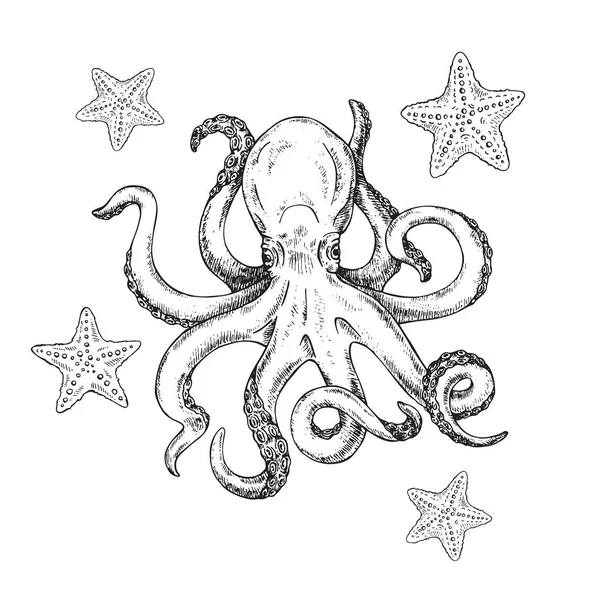Octopus and starfish. Vector illustration of sketch octopus hand drawn, vintage. Kraken Tattoo or print for t-shirt, poster or logo. — Stock Vector