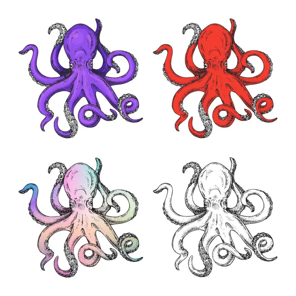 Impresión pulpo en diferente estilo dibujado a mano. Ilustración vectorial del pulpo del boceto . — Archivo Imágenes Vectoriales