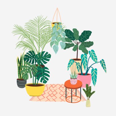 El çizilmiş tropik ev bitkileri. Popüler houseplants : monstera, palmiye, ficus, dracaena. 