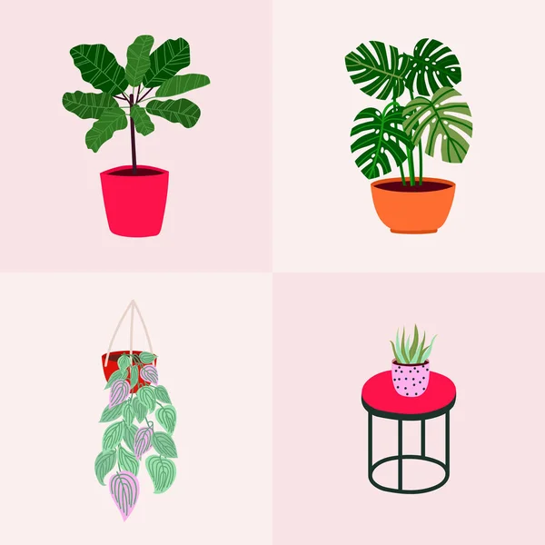 Hand getekende kaart ontwerp met vector tropische huis planten. — Stockvector