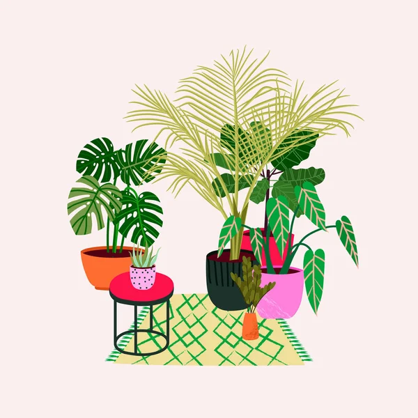 Plantas de interior tropicais populares: monstera, palm, ficus, dracaena . — Vetor de Stock