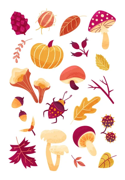 Fall season. Autumn mood icon set autumn leaves, seeds, berries  and mushrooms, isolated on white background. — Stock Vector