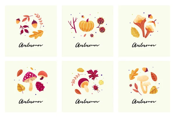 Cartões de humor de outono com composições de outono de folhas, cogumelos, galhos, besouros e sementes . —  Vetores de Stock