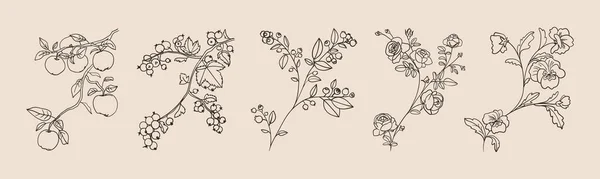 Sbírka botanických rostlinných větví, retro image. Prvek květinového designu pro přání, pozvánka. — Stockový vektor