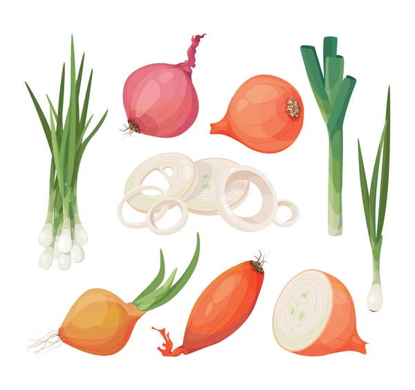 Cebolla, chalota, conjunto de iconos de vectores de puerro. Dibujos animados de verduras crudas, elementos gráficos aislados para el embalaje, menú . — Vector de stock