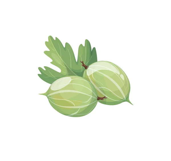 Vector realist desen animat gooseberry icon . — Vector de stoc