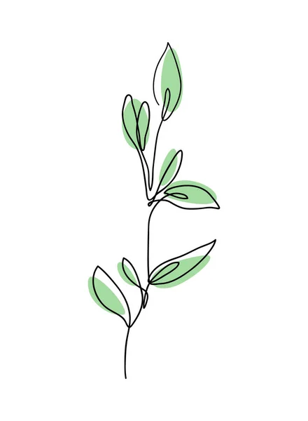 Ветка с непрерывным рисованием линий листьев. Эвкалипт оставляет одну линию рисунка. — стоковый вектор