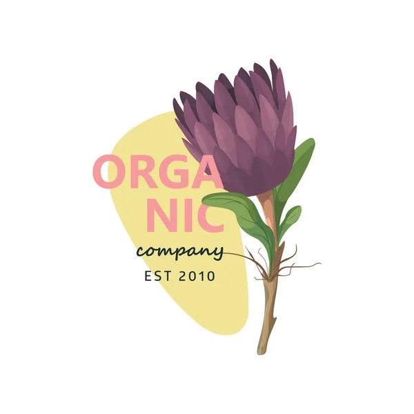 Projeto do vetor do logotipo da flor de Protea. Design orgânico do emblema. —  Vetores de Stock