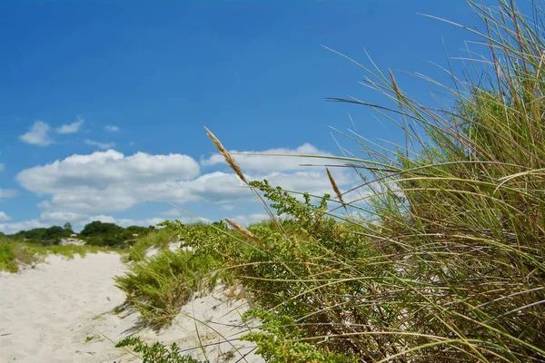 Zonnige strand met zandduinen en blauwe hemel. Oceaan — Stockfoto