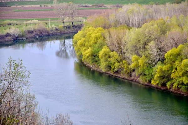 Nehir ve ağaçlarla kaplı bahar manzarası — Stok fotoğraf
