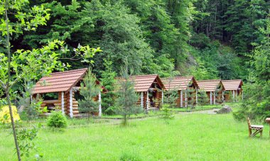 Holiday apartment - yaz yeşil çim arka bahçesinde üzerinde ile orman ve orman arka planda ahşap yazlık