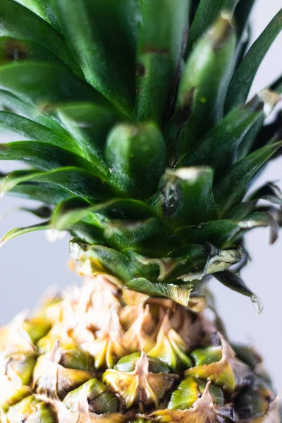 Piña fresca madura primer plano con hojas. Tropical — Foto de Stock