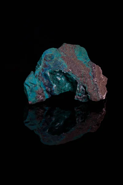 Siyah arkaplanda Şili kökenli göksel krisokoli