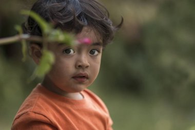İki yaşındaki çocuk bir çiçeğin arkasına bakar.