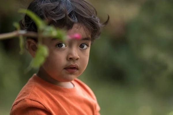 İki yaşındaki çocuk bir çiçeğin arkasına bakar.