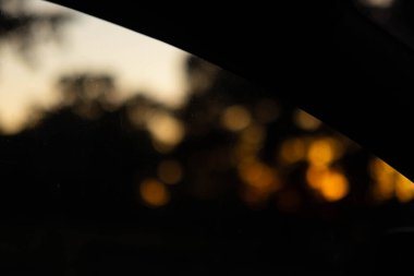 Gün batımının canlı renklerine karşı ağaçların bulanık ana hatları.