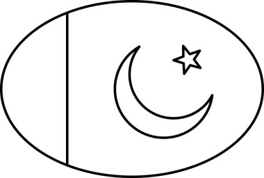 Pakistan 'ın bayrağı düz simge, vektör illüstrasyonu