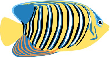 kraliyet melek balığı ikonu, vektör illüstrasyonu