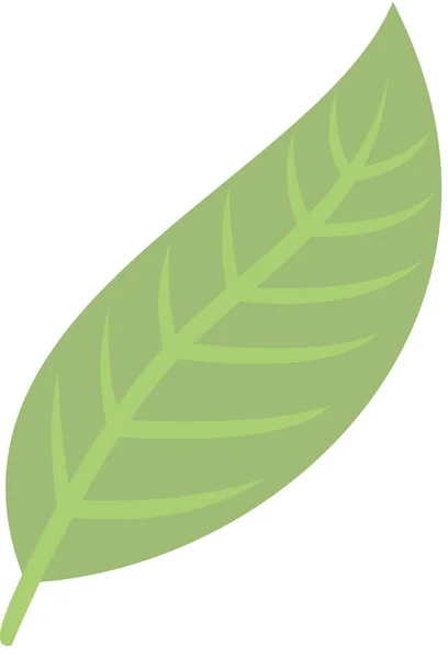 Prosty Liść Gałęzi Ilustracja Roślin — Wektor stockowy