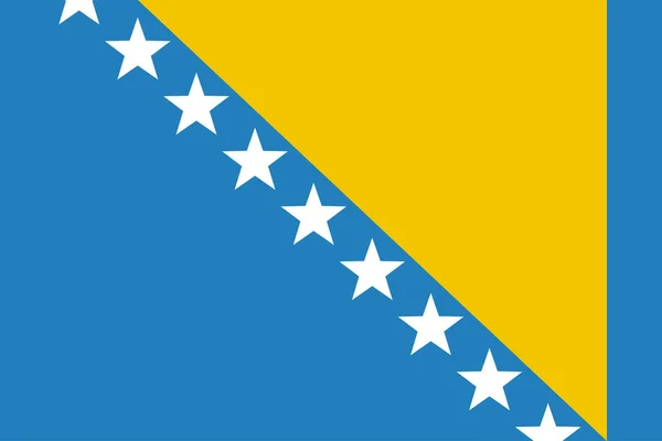 波斯尼亚和黑塞哥维那国旗扁平图标 矢量图解 — 图库矢量图片