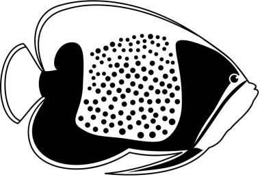 Mavi korseli melek balığı simgesi, vektör illüstrasyonu