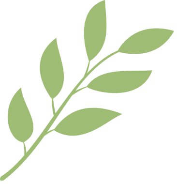 Basit dal yaprakları, illüstrasyon bitkisi 