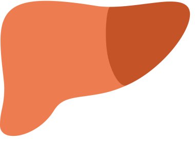 Beyaz arkaplanda karaciğer simgesi izole edildi, vektör illüstrasyonu