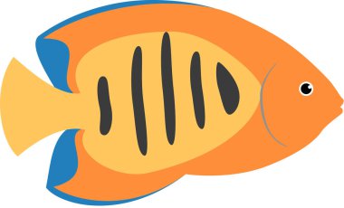 alev melek balığı simgesi, vektör illüstrasyonu