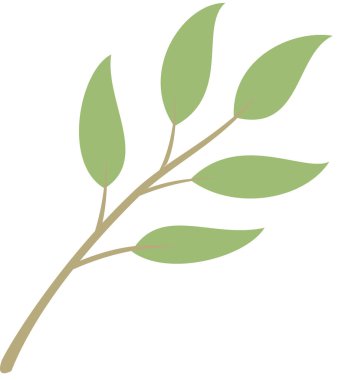 Basit dal yaprakları, illüstrasyon bitkisi 