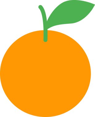 Turunçgil meyvesinin vektör çizimi